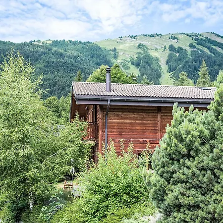 Dendron By Interhome شاليه *