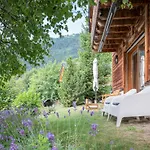 Dendron By Interhome Chalet *